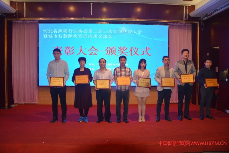 河北照明行業(yè)2018年度&ldquo;誠信單位&rdquo;代表上臺領(lǐng)獎