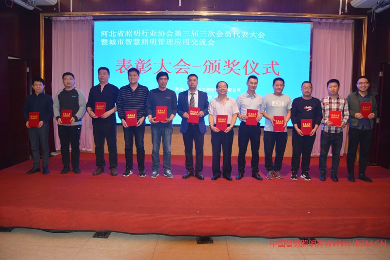 河北照明行業(yè)2018年度&ldquo;先進(jìn)個人&rdquo;代表上臺領(lǐng)獎