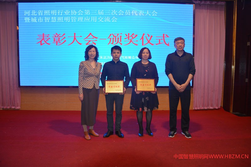 河北照明行業(yè)2018年度&ldquo;突出貢獻(xiàn)獎&rdquo;代表上臺領(lǐng)獎
