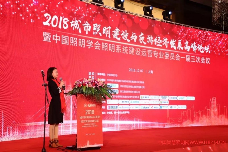 2018城市照明建設(shè)與夜游經(jīng)濟(jì)發(fā)展高峰論壇--中國智慧照明網(wǎng)