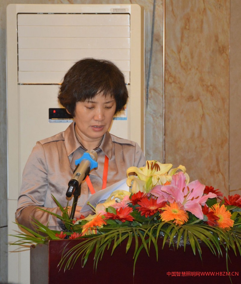 張家口夜景照明管理中心工會主席田佳杰