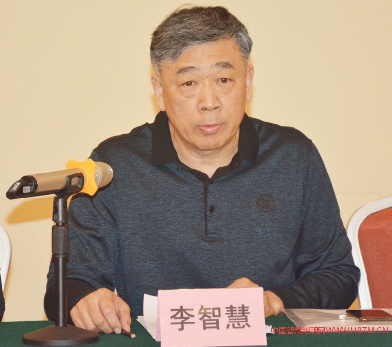 河北省照明行業(yè)協(xié)會會長  李智慧
