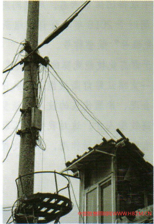 圖1木質(zhì)電桿