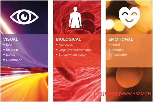 以人為本的照明