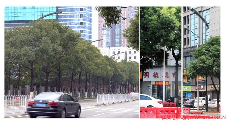 &ldquo;展望&rdquo;智慧共桿，將各種桿體集中到路燈一根燈桿上，提升了路口整潔美觀程度