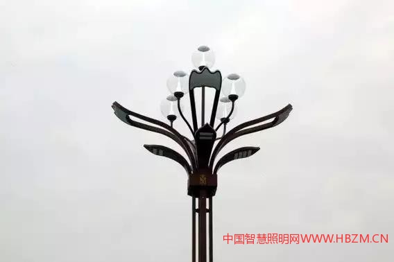 9、陜西渭南城區(qū)24套智慧路燈亮相