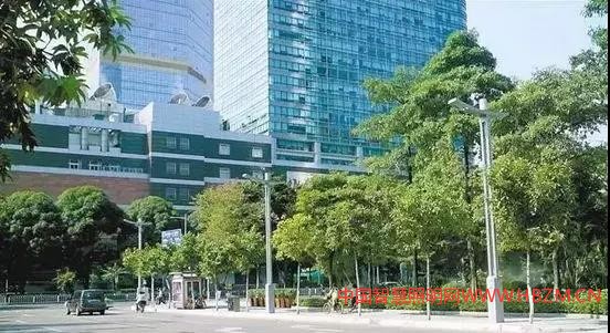 廣州天河南二路的智慧燈桿具備16種強(qiáng)大功能