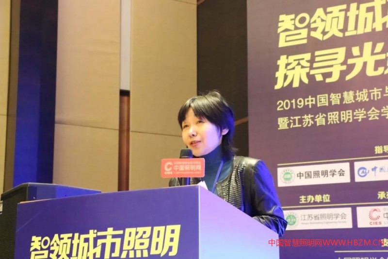 中國(guó)照明學(xué)會(huì)專職副理事長(zhǎng)高飛