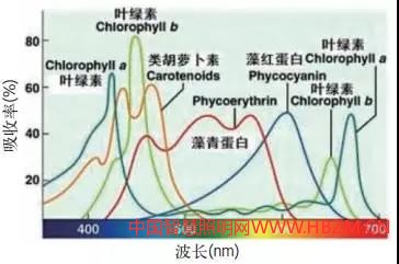 LED植物照明圖2 植物生長(zhǎng)幾種生長(zhǎng)素吸收光譜簡(jiǎn)圖