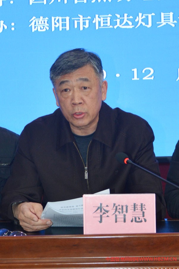 協(xié)會會長李智慧作河北省照明行業(yè)協(xié)會2019年工作報告
