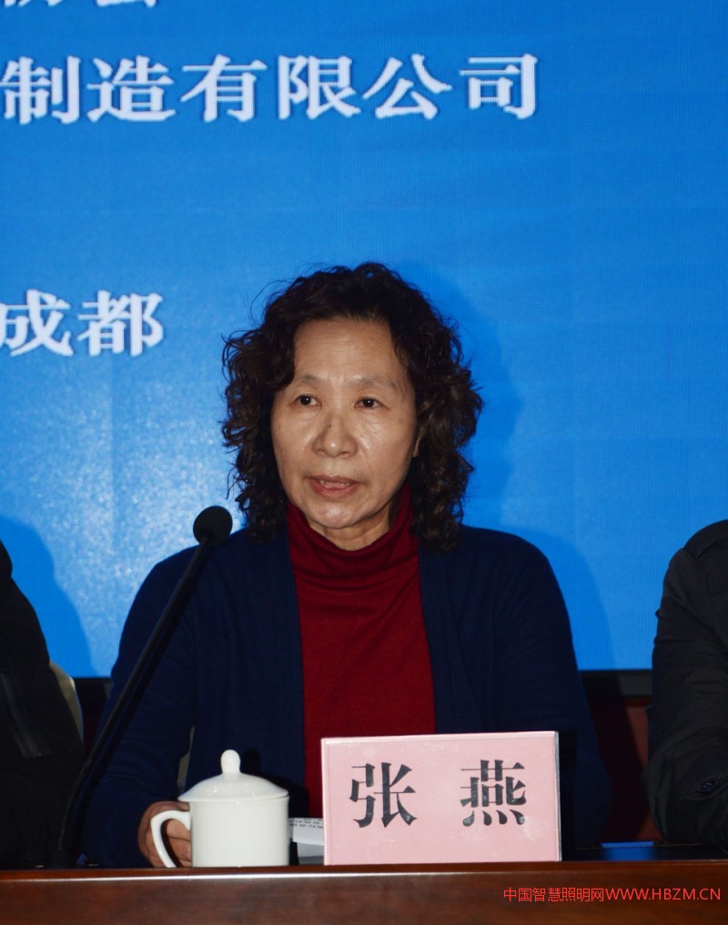 協(xié)會駐會副會長、秘書長張燕主持會議