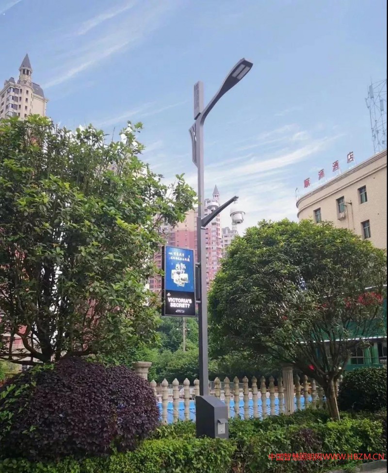 首例！18根智慧路燈廣告位3年經(jīng)營(yíng)權(quán)拍得104.4萬(wàn)！