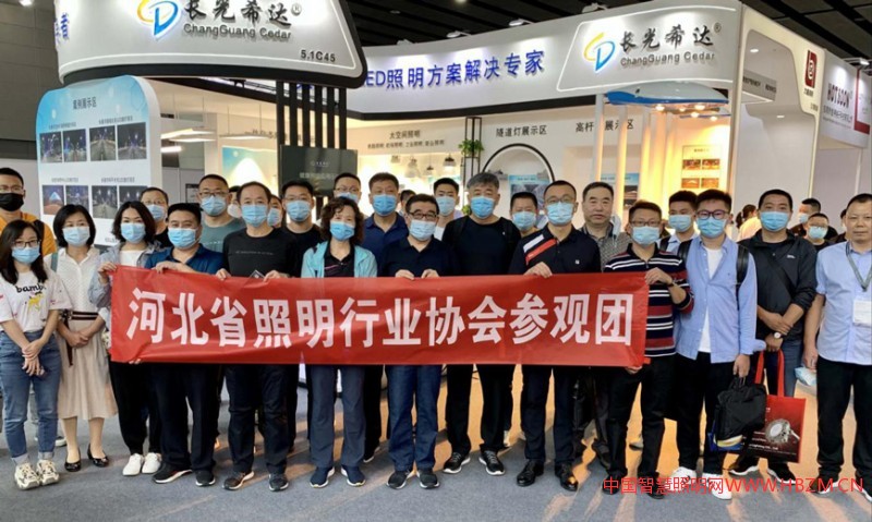 組織與會(huì)代表參觀了&ldquo;2020廣州國(guó)際照明展&rdquo;