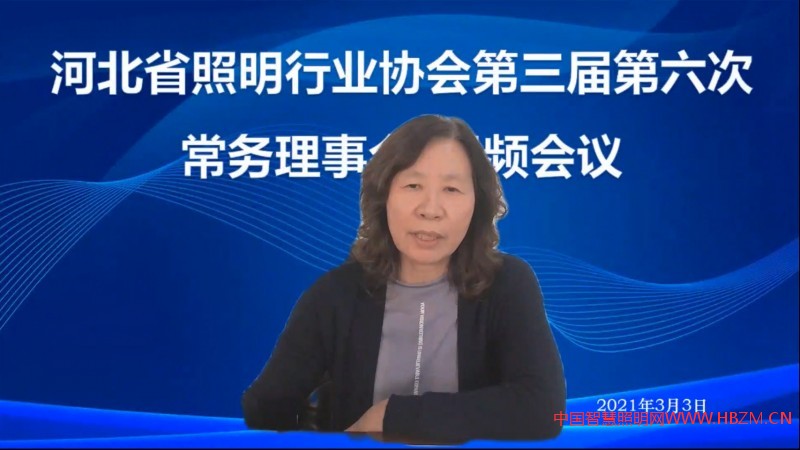 河北省照明行業(yè)協(xié)會駐會副會長兼秘書長主持會議