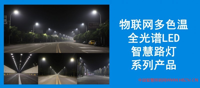 誠(chéng)招多色溫全光譜LED智慧路燈、RGBW夜景燈飾、智慧燈桿系列產(chǎn)品，城市路燈照明、合同能源管理工程代理商