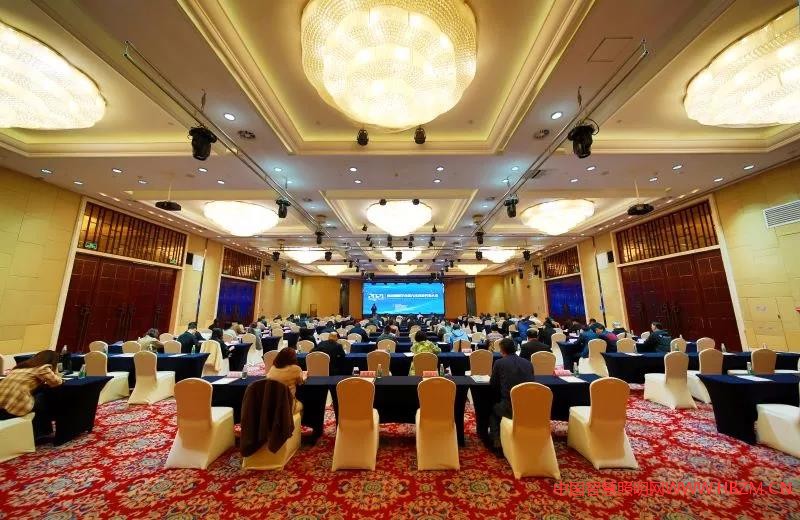 南京照明學(xué)會(huì)第九次會(huì)員代表大會(huì)主會(huì)場(chǎng)