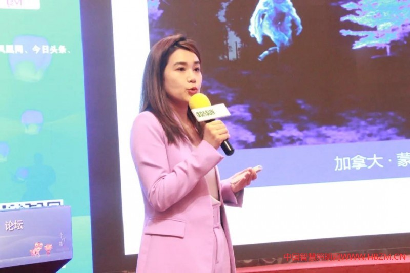 夜游經(jīng)濟(jì)與景觀照明-中國(guó)文旅夜游（佛山）論壇成功召開(kāi)！