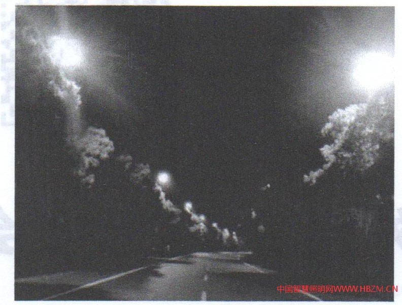 圖9樹葉遮擋，造成路面照度、亮度均勻度差