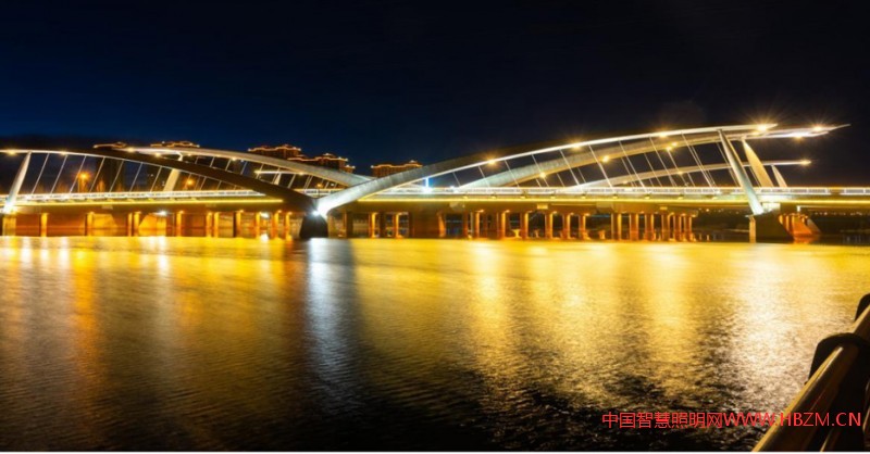 振翅欲飛 （優(yōu)秀獎(jiǎng)） 攝影者：張家口市夜景照明管理中心 閆茂亭