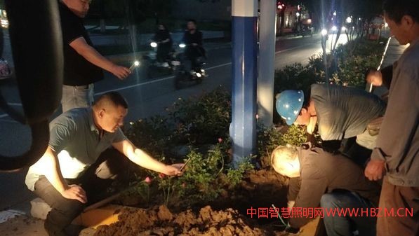 檢修路燈 為國(guó)慶添彩