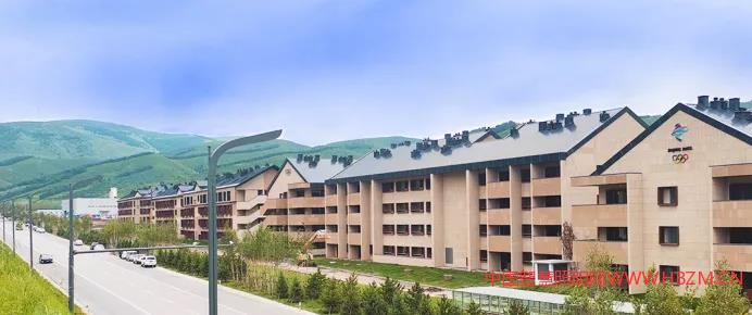 冬奧會(huì)智慧之樹(shù)