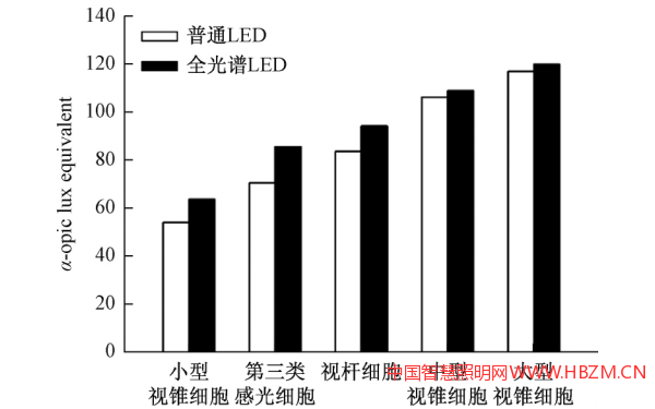 視網(wǎng)膜感光器接受的刺激